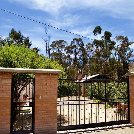 Hostal Vientos Del Altiplano Putre Zewnętrze zdjęcie