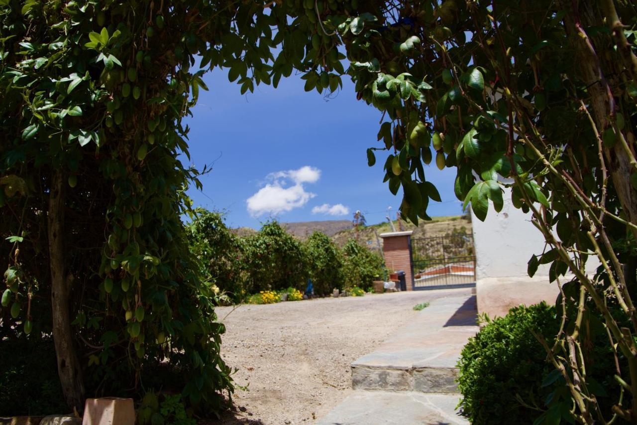 Hostal Vientos Del Altiplano Putre Zewnętrze zdjęcie