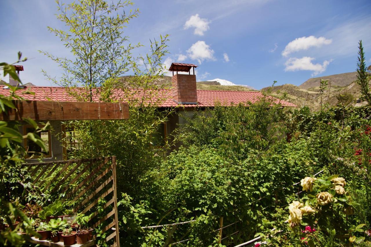 Hostal Vientos Del Altiplano Putre Zewnętrze zdjęcie