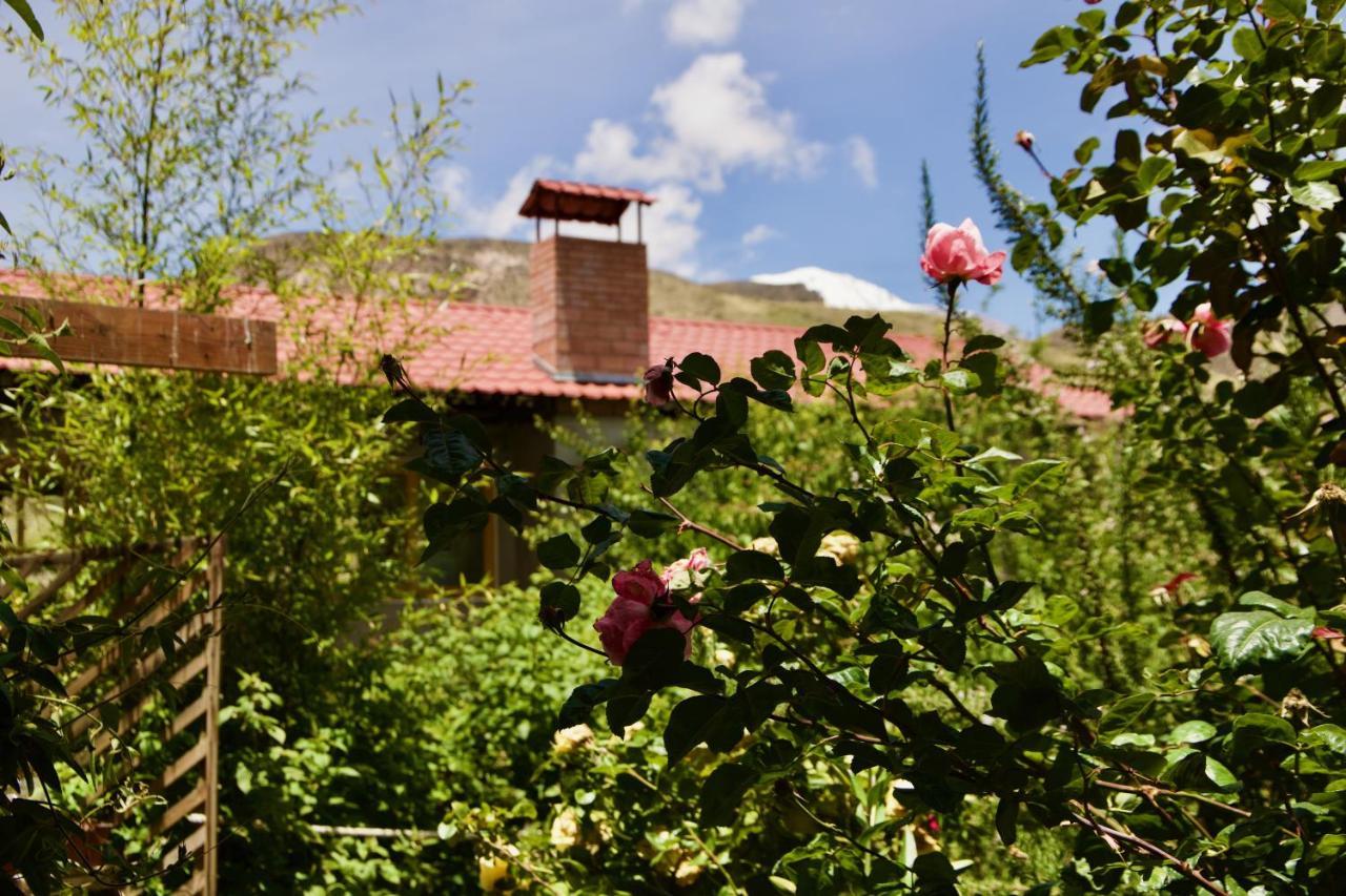 Hostal Vientos Del Altiplano Putre Zewnętrze zdjęcie