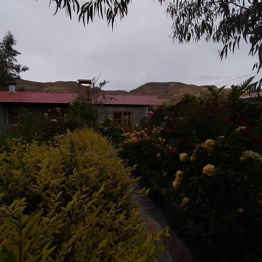 Hostal Vientos Del Altiplano Putre Zewnętrze zdjęcie
