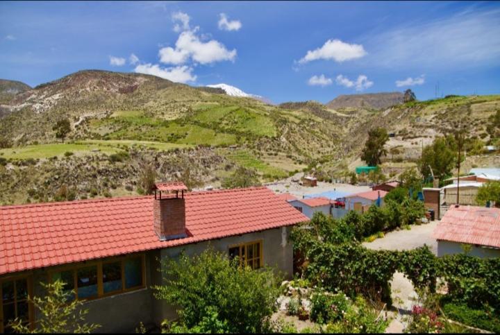Hostal Vientos Del Altiplano Putre Zewnętrze zdjęcie