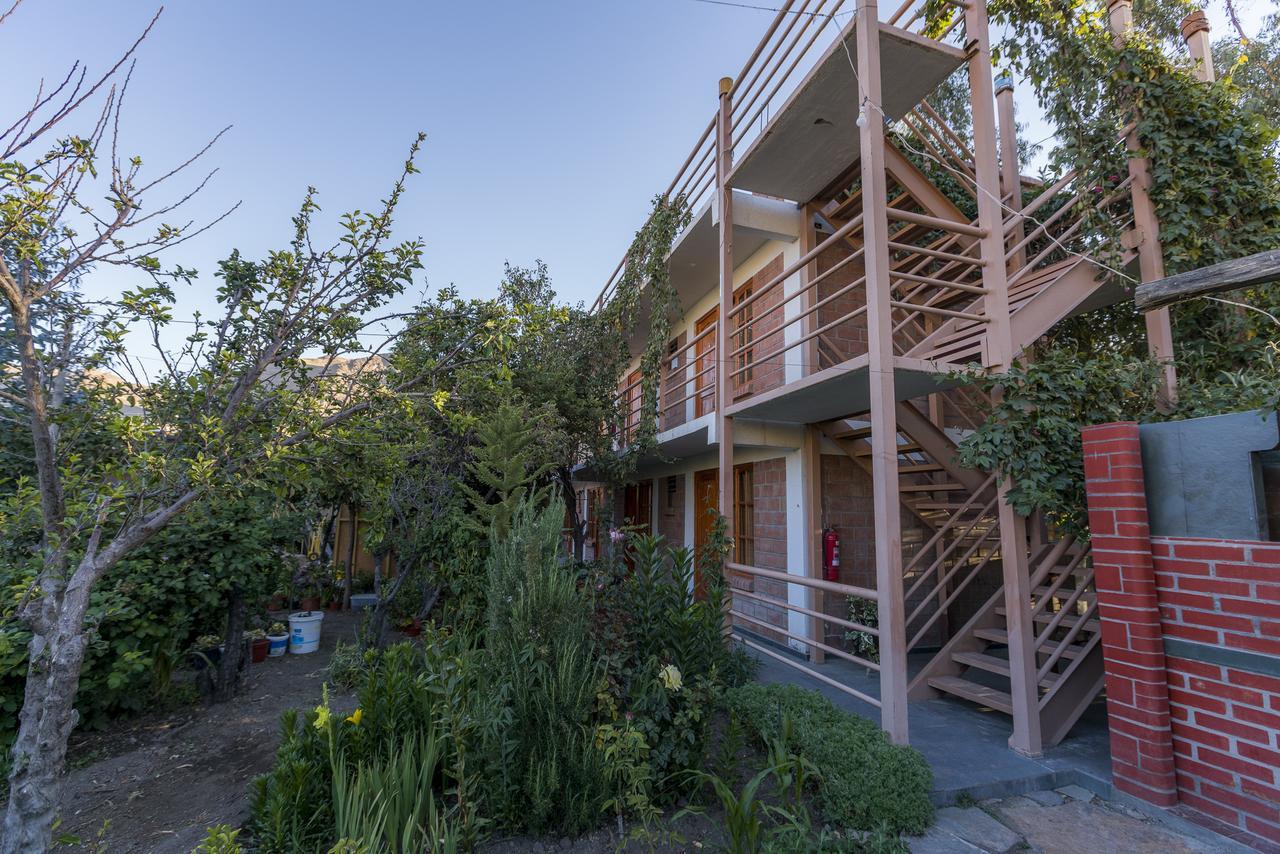 Hostal Vientos Del Altiplano Putre Zewnętrze zdjęcie